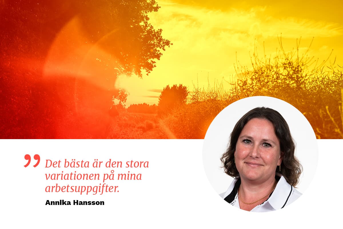 Annika Hansson